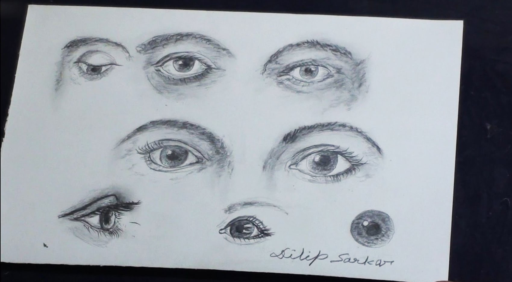 1700x936 Various Type Of Pencil Drawn Nose How To Draw , Different Eyes
