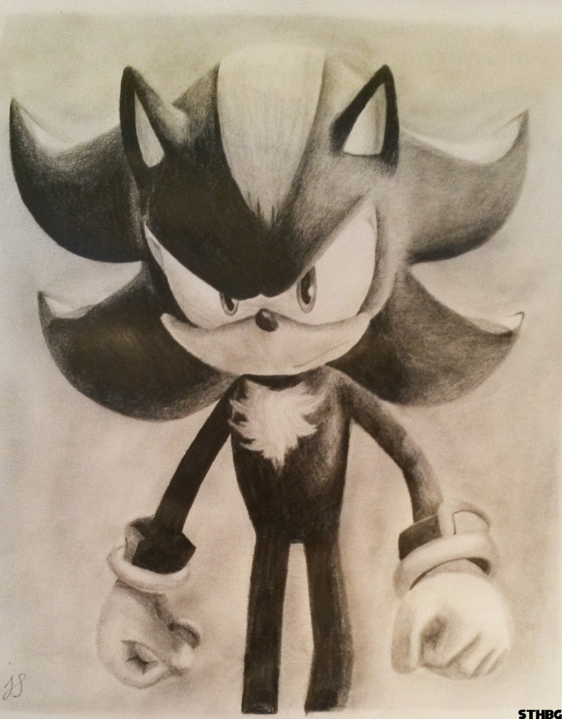 790x1011 Shadow The Hedgehog