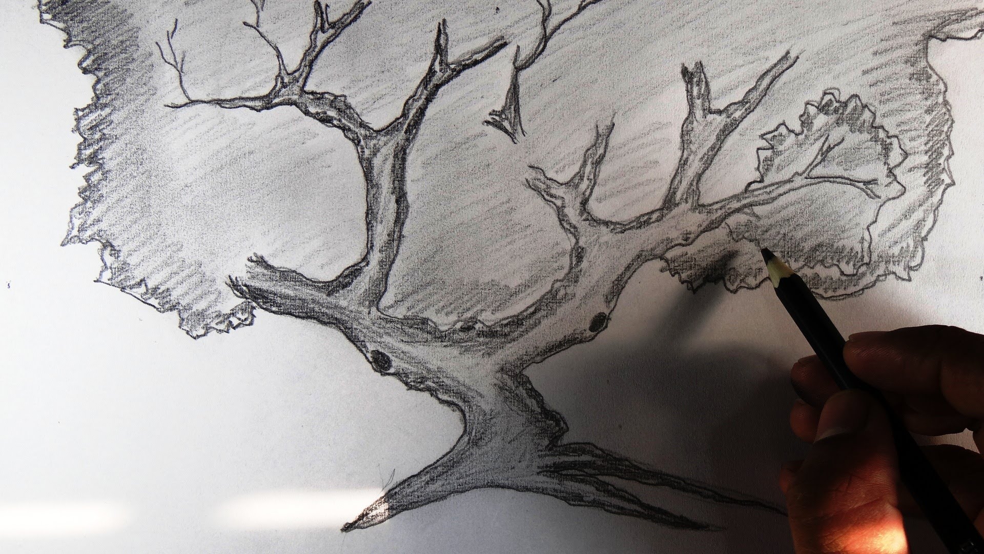 Pencil Tree Drawing at GetDrawings | Free download