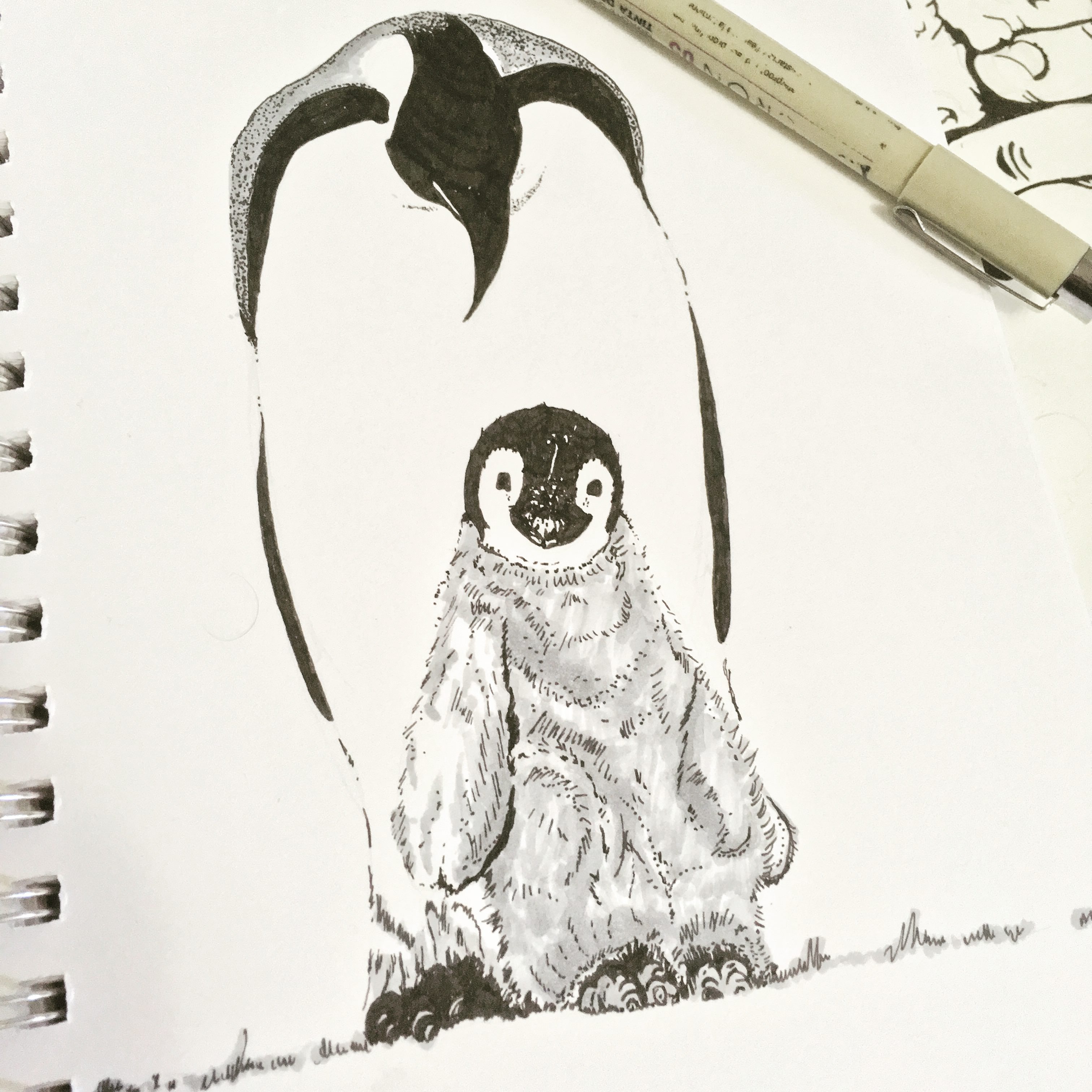 3024x3024 Penguin Drawing I Made