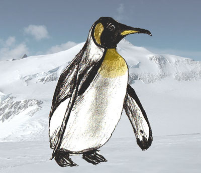 400x345 How To Draw A Penguin