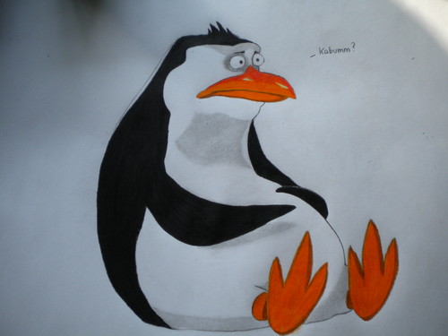 500x375 Penguins Of Madagascar Images Awesome Rico Drawing Hd Wallpaper