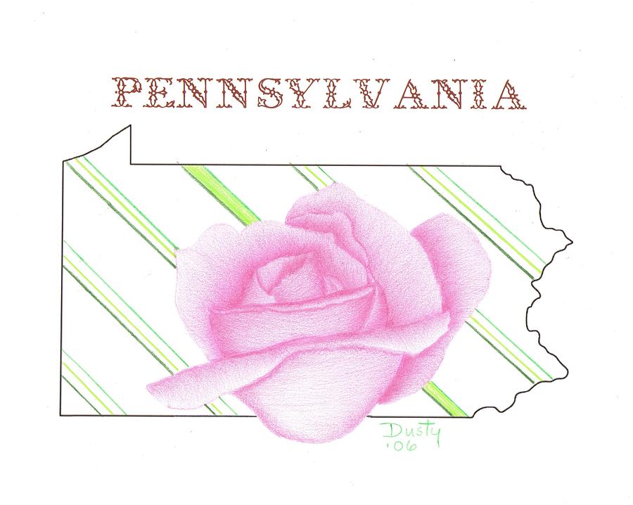 900x718 State Of Pennsylvania Drawing By Dusty Reed