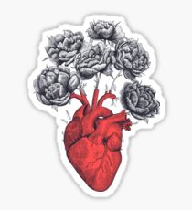 210x230 Peonies Drawing Gifts Amp Merchandise Redbubble