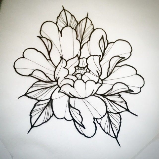 Peony Tattoo Drawing at GetDrawings | Free download