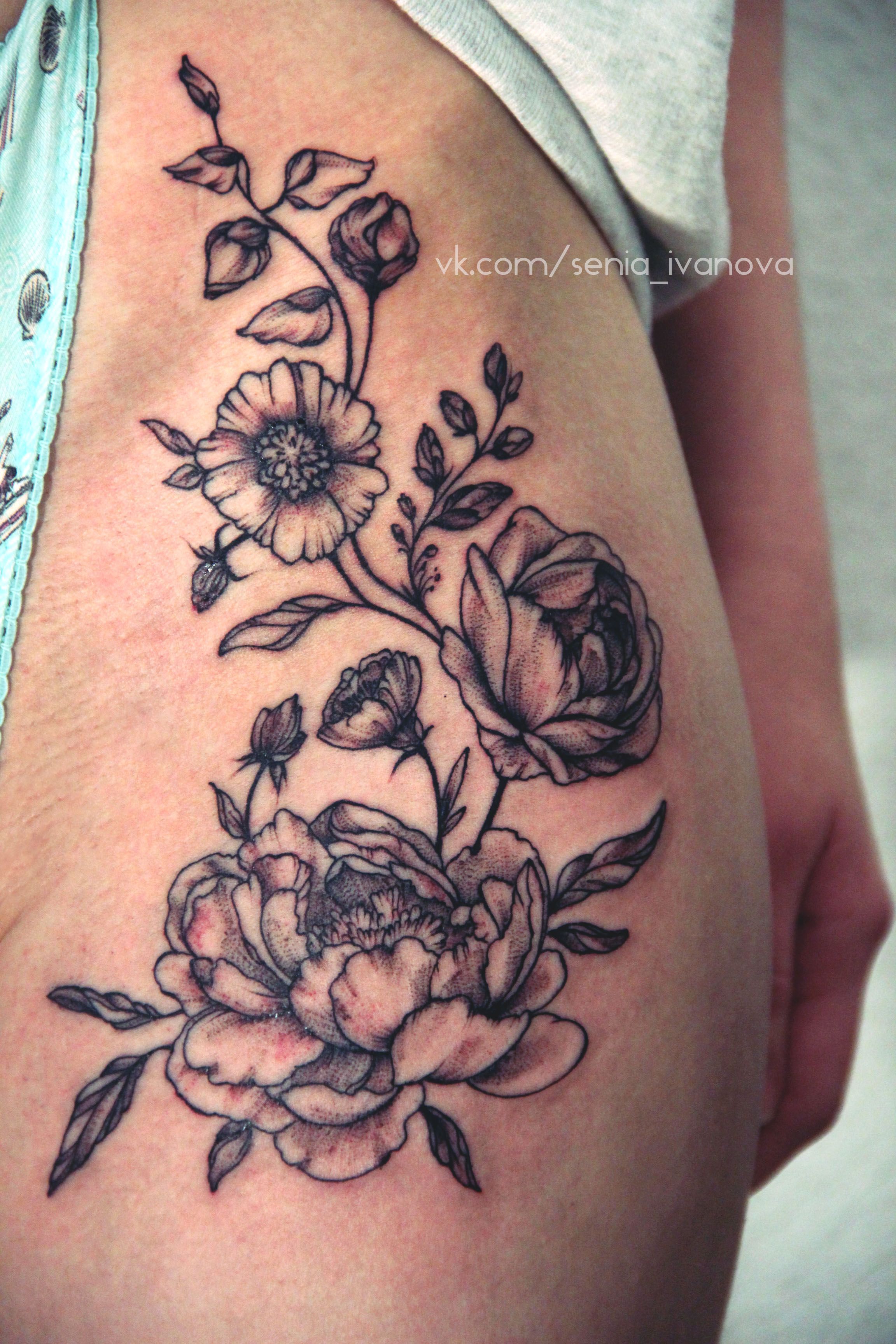 2304x3456 Peony Flower Cluster Drawing Gardening Flower And Vegetables