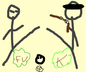 300x250 2 People Fighting