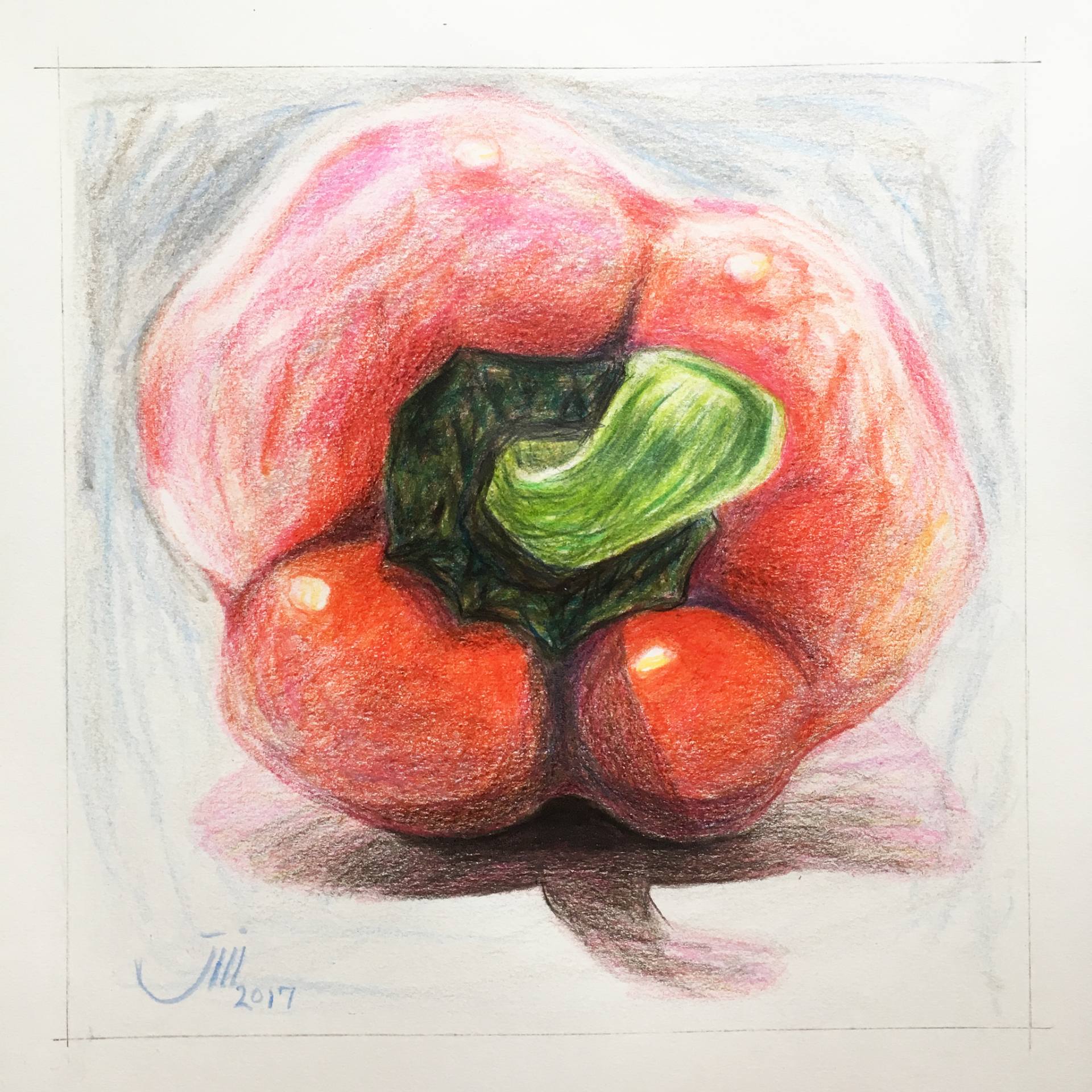 1920x1920 Saatchi Art My Sketchbook, A Red Bell Pepper Drawing By Sedigheh