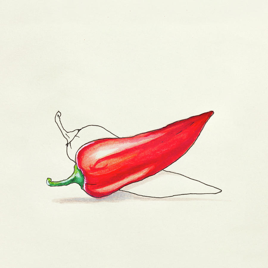 900x900 Sketch Drawing Of Red Hot Pepper Drawing By Ipolyphoto Art