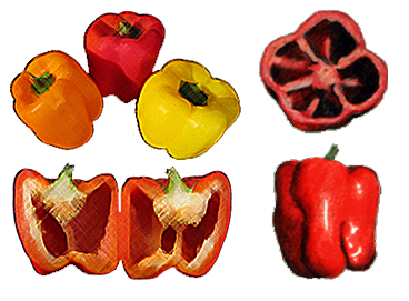 368x271 Drawing Types