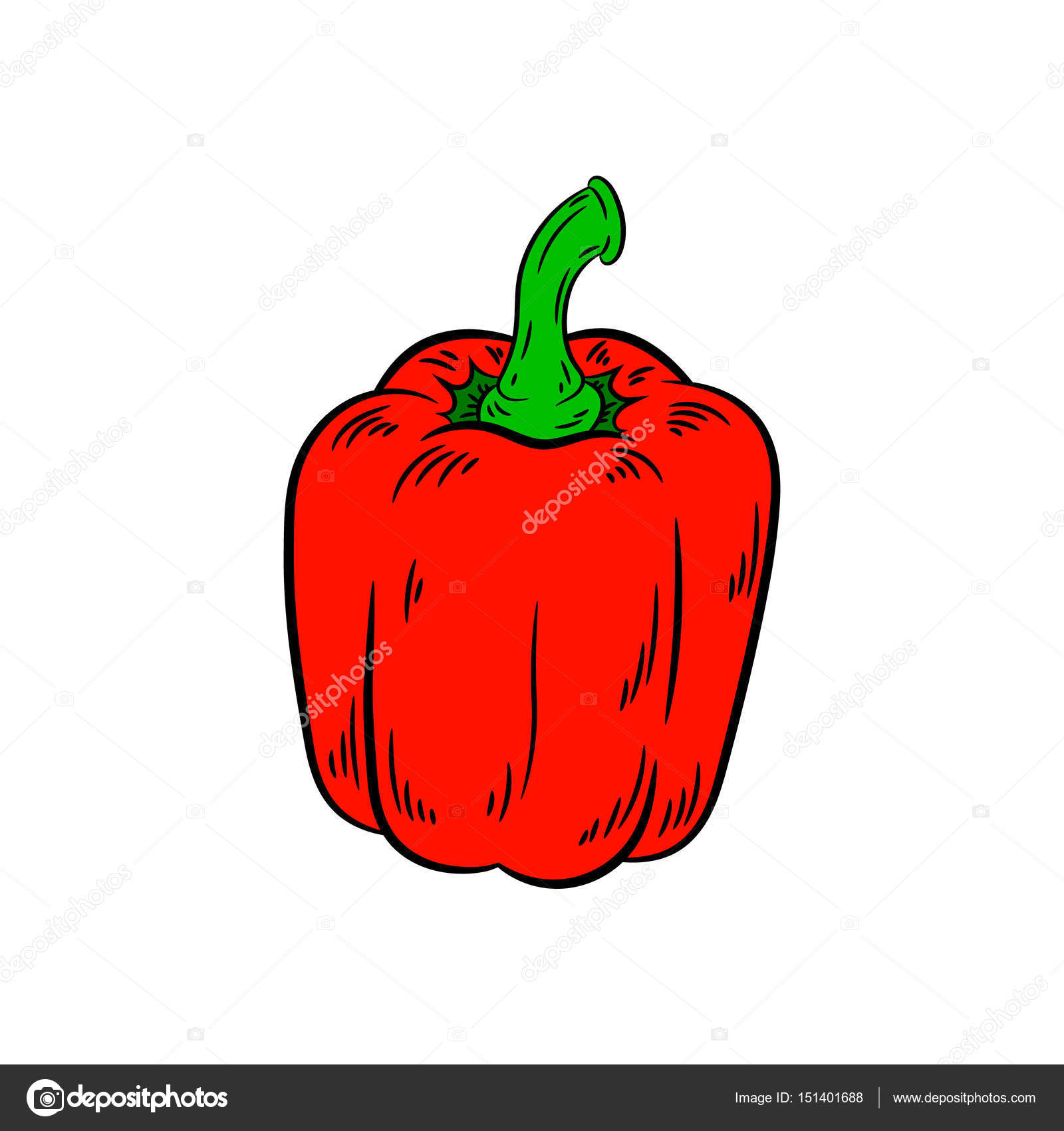 1600x1700 Pepper Drawing. Isolated On White Background. Stock Vector