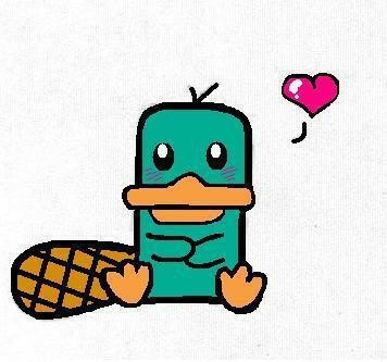 356x333 Vogelbekdier Tekenen Drawings Summer Painting