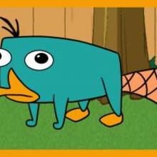 220x220 How To Draw How To Draw Perry The Platypus From Phineas And Ferb