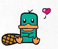 240x200 Perry The Platypus Lt3 Geekery Platypus, Random