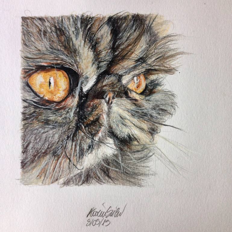 770x770 Saatchi Art Persian Cat Drawing By Karin Silvi