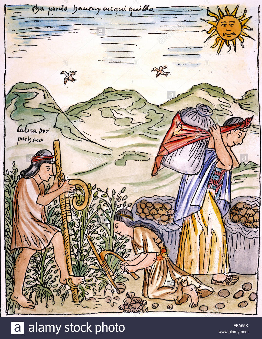 1075x1390 Incan Farmersndigging And Transporting Potatoes In Peru Drawing