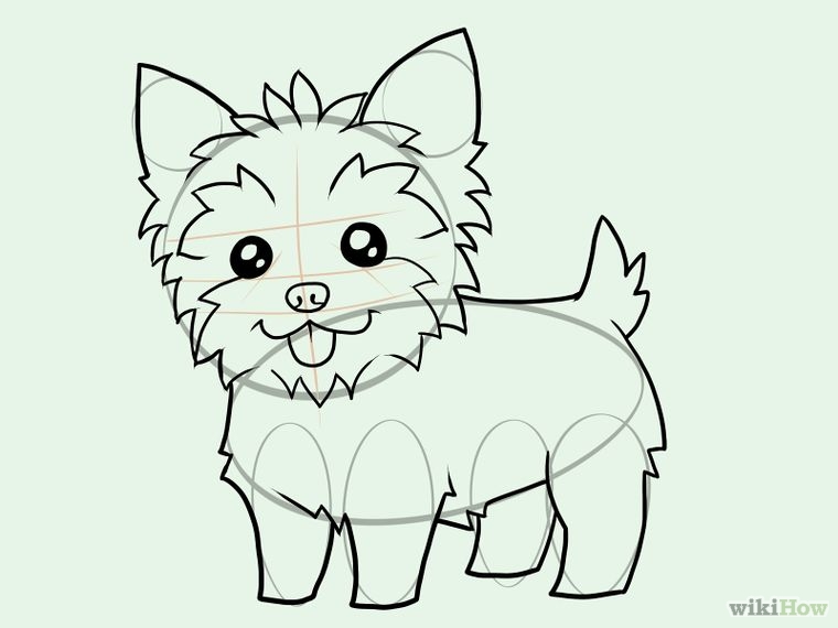 760x570 Draw A Yorkie Yorkies, Drawings And Dog