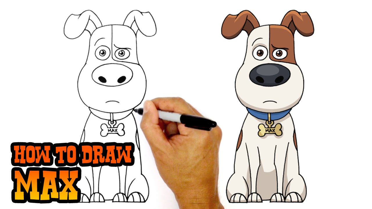 1280x720 How To Draw Max Secret Life Of Pets