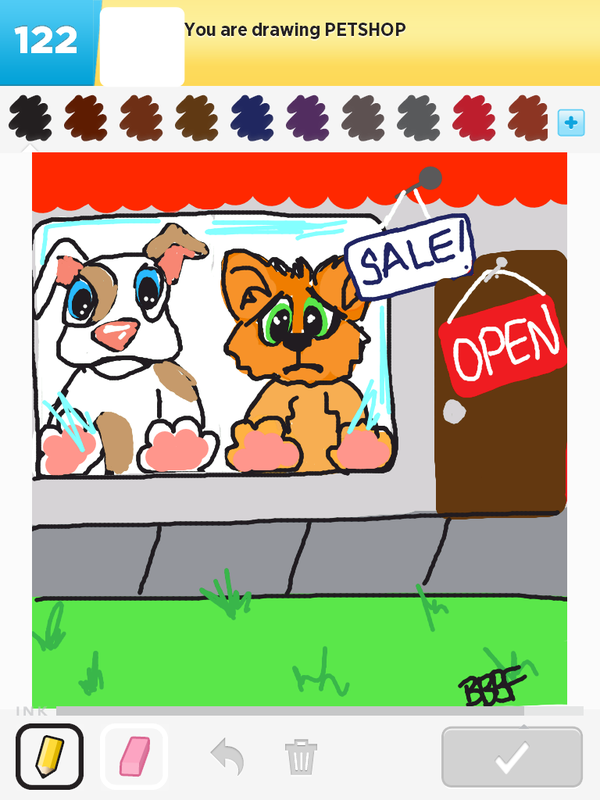 600x800 How To Draw Pet Shop