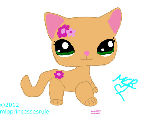 500x375 Tinkerbell66799 Images My Littlest Pet Shop Drawing Of A Cat Hd