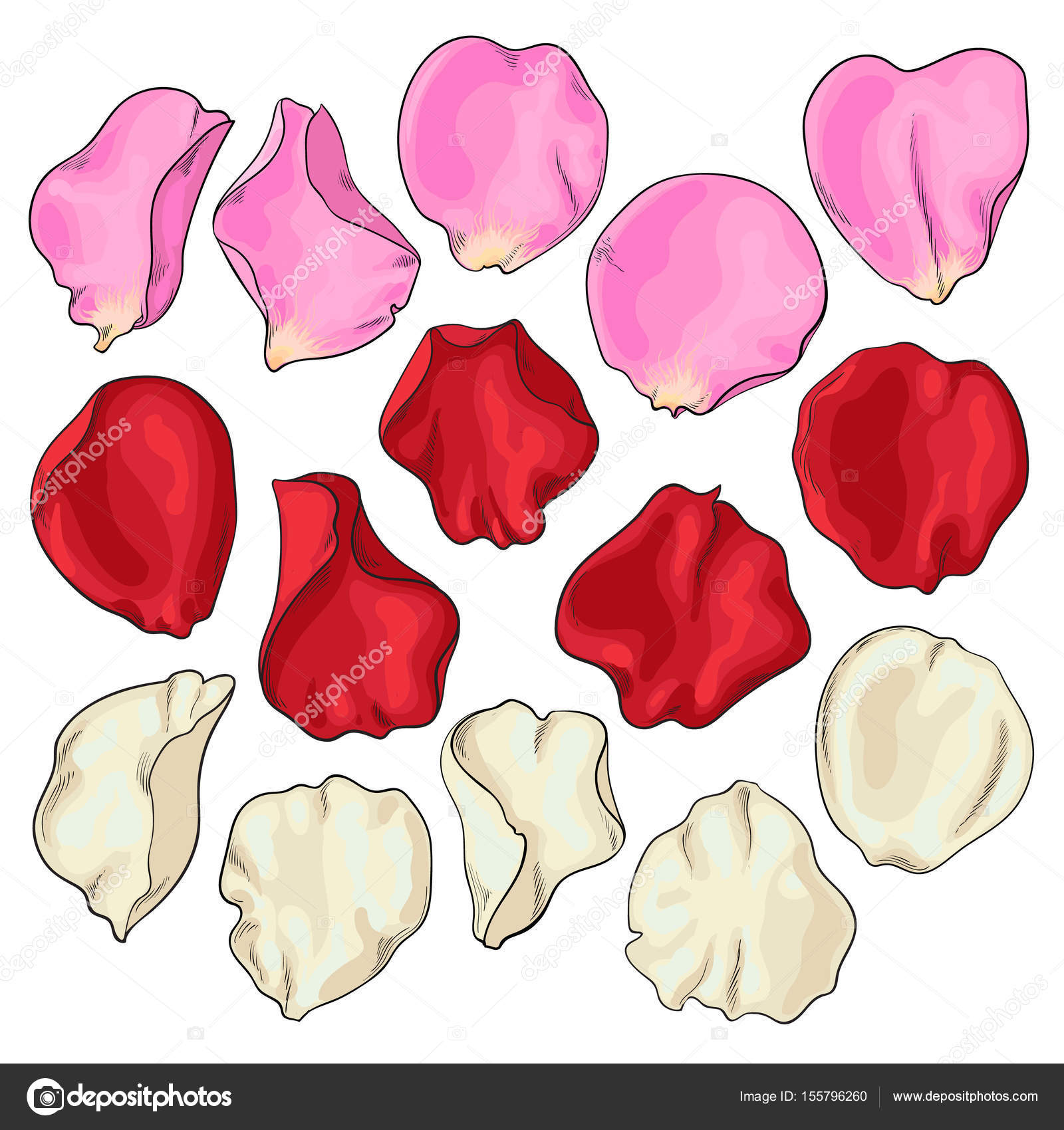 1600x1700 Set Of Hand Drawn White, Pink And Red Rose Petals Stock Vector