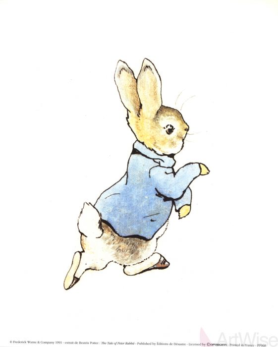 Peter Rabbit Drawing at GetDrawings | Free download