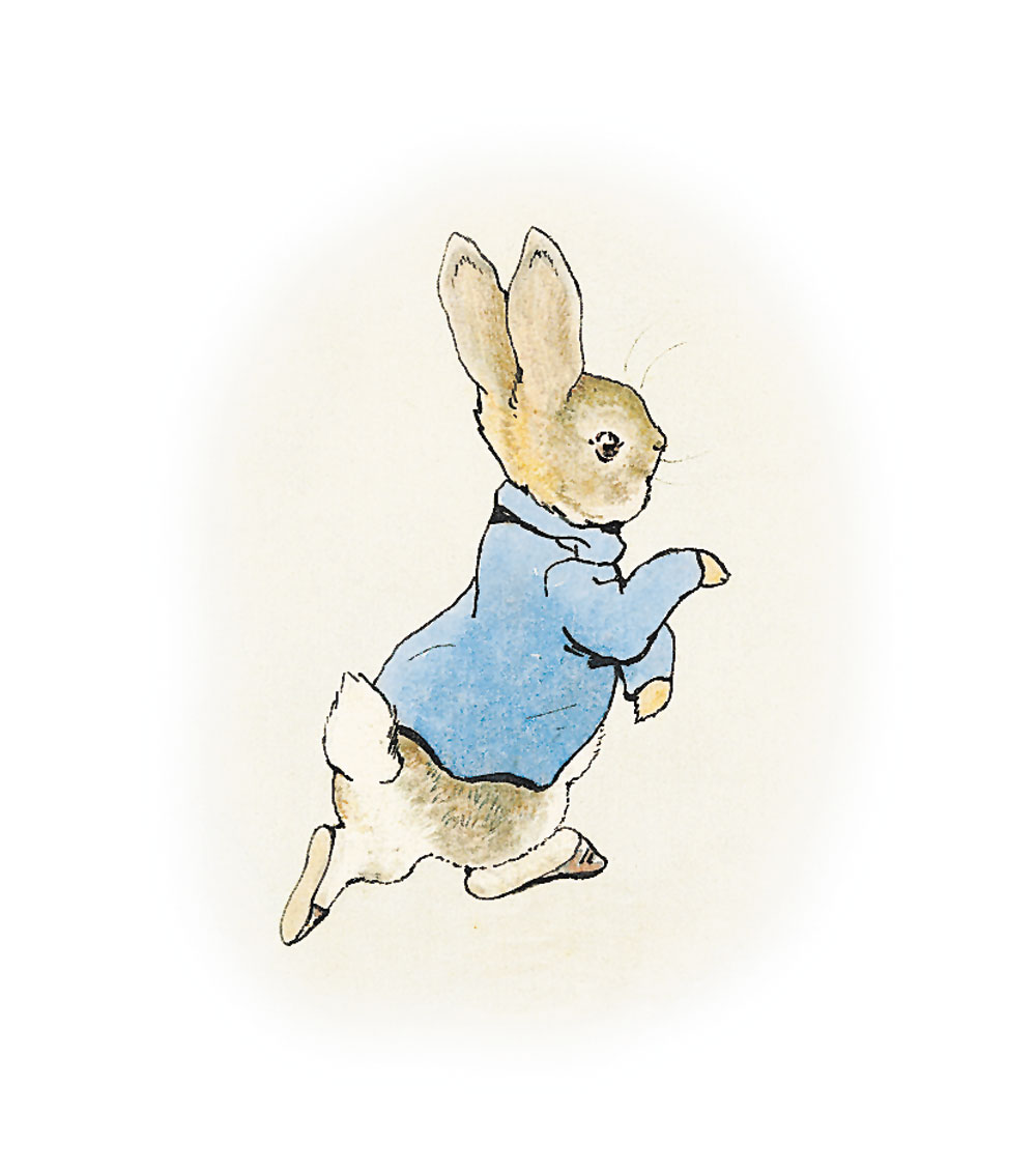Peter Rabbit Drawing at GetDrawings | Free download