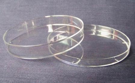 448x275 Petri Dish