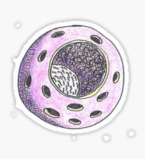 210x230 Petri Dish Drawing Stickers Redbubble
