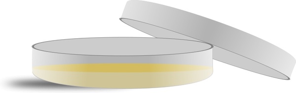 600x190 Petri Dish Free Vector In Open Office Drawing Svg ( Svg ) Vector