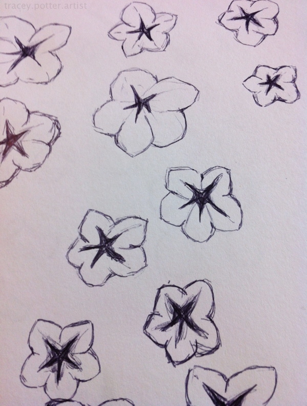 600x792 Tracey Grgic Potter Studio Update Petunia Drawings.