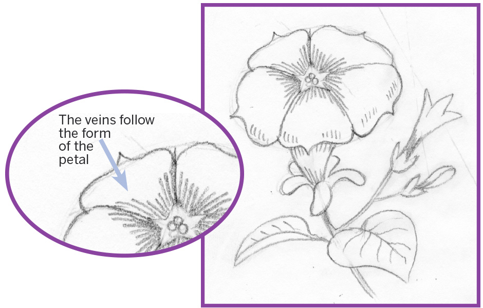 940x599 Art Thief Draw A Petunia