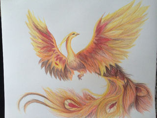 320x240 My Mom Wanted Me To Draw Her A Phoenix. Reference Used.