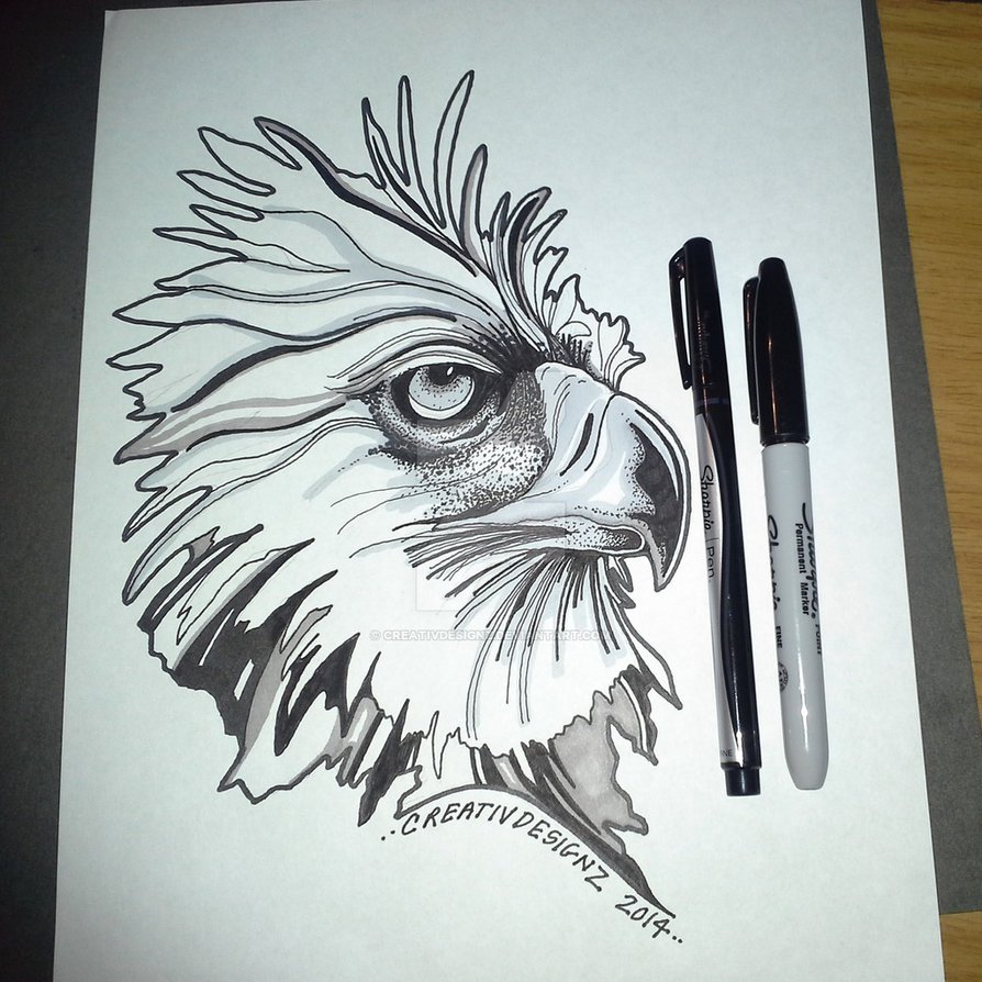 894x894 Philippine Eagle Ink Drawing By Creativdesignz