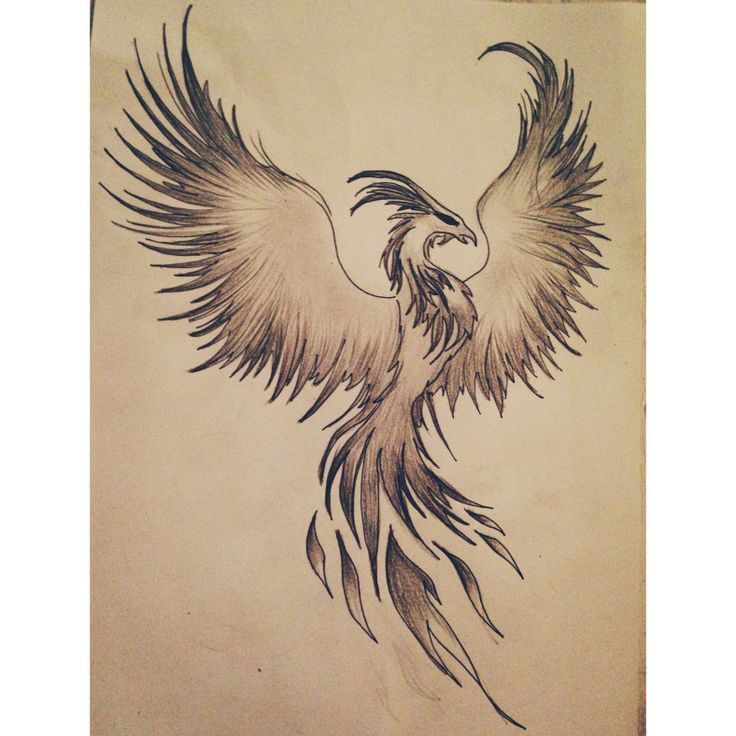 Phoenix Wings Drawing at GetDrawings | Free download