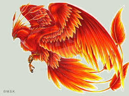 260x193 Resultado De Imagem Para Rage Phoenix Drawing Art