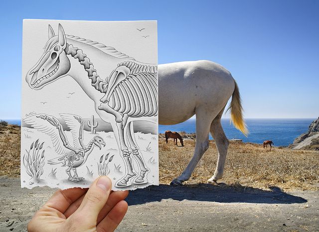 640x465 Photographer Literally Draws Life Into His Photos Vs