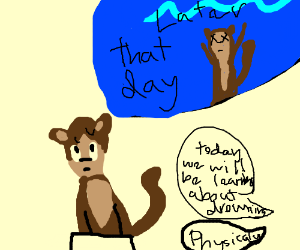 300x250 Monkey Dies From Physical Education