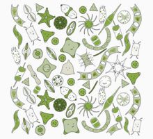 220x200 33 Best Plankton Images On Oceans, Amazing And Ocean