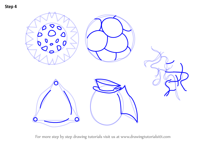 846x600 Learn How To Draw Phytoplankton (Plants) Step By Step Drawing