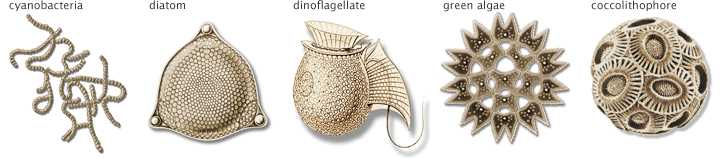 720x158 November 2017 Nasa Earth Expeditions