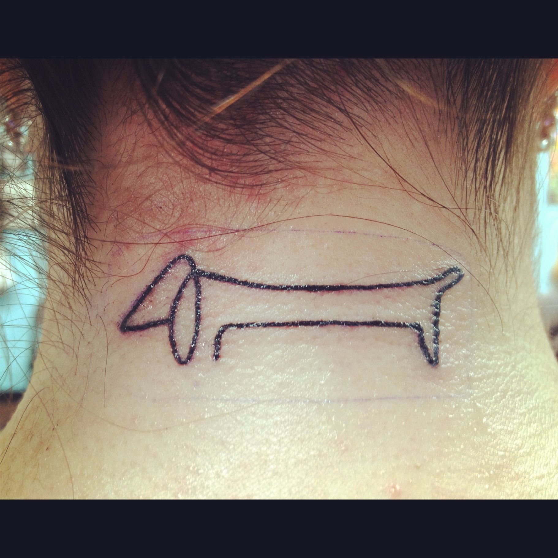 1822x1822 Picasso One Line Drawing Of A Dachshund