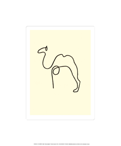 405x488 The Camel Picasso, Draw And Illustrators