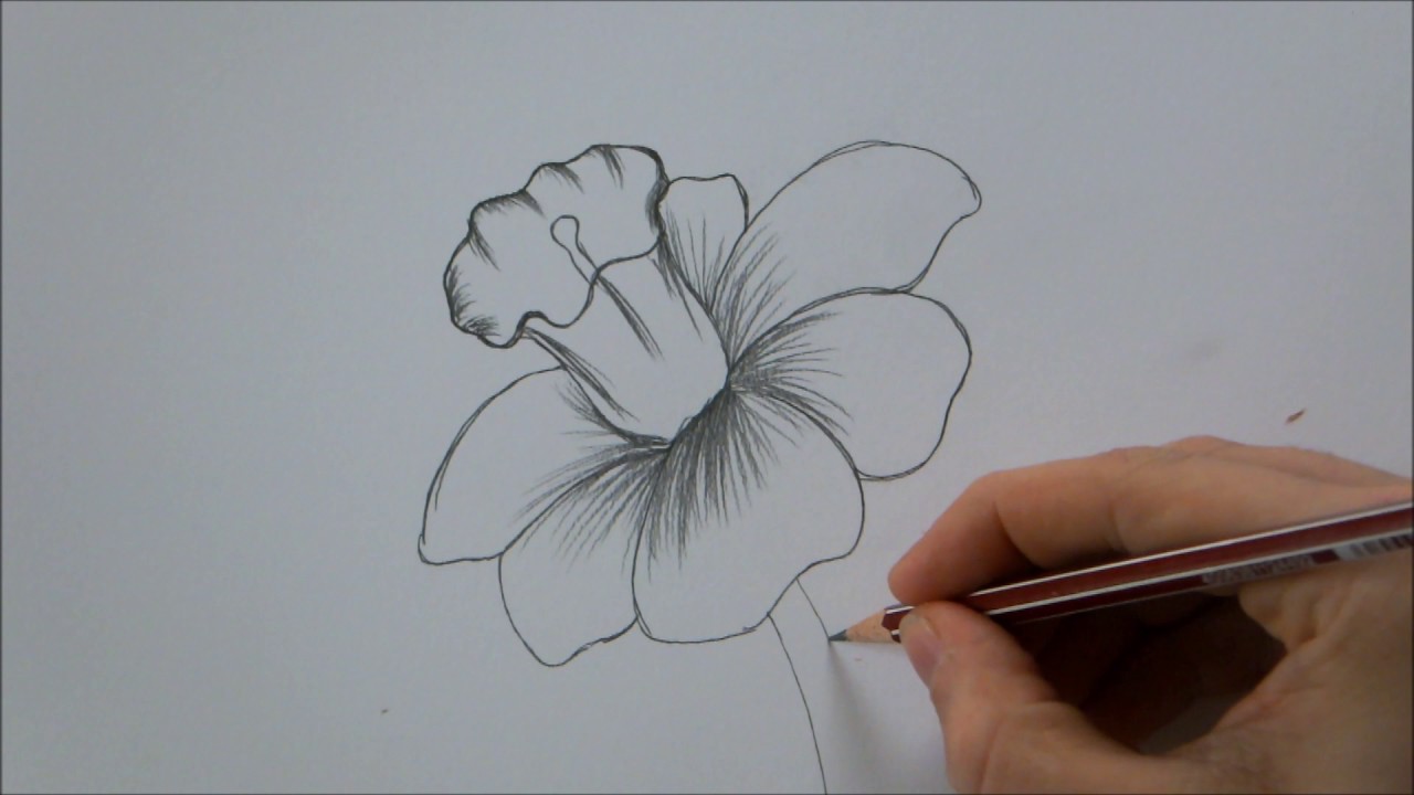 1280x720 How To Draw A Flower Step By Step In 6 Minutes!