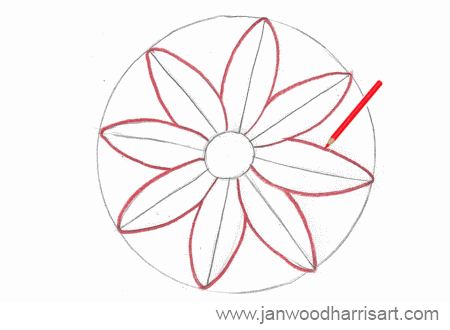 450x330 How To Draw A Daisy