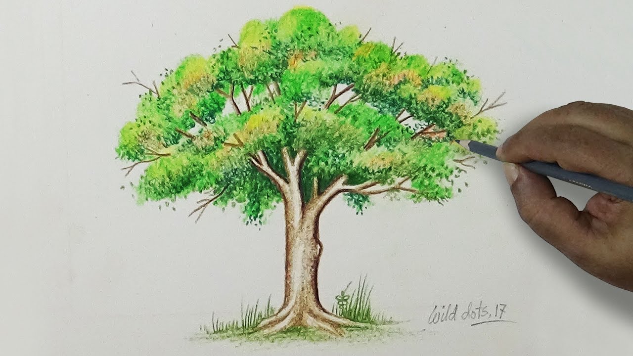 1280x720 Tree