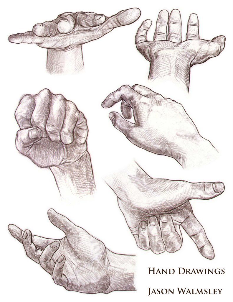 791x1024 Studies Of Hands And Feet. Col Erase(Brown) On Animation Paper Had
