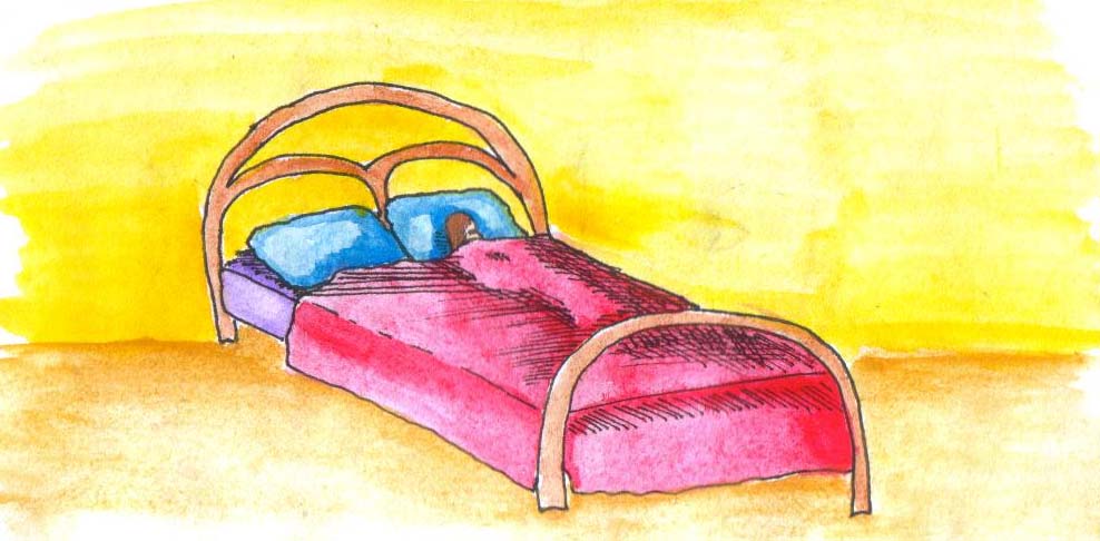 988x486 Shells Daily Drawing