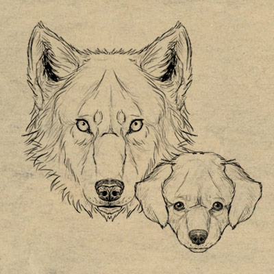 400x400 How To Draw Animals Dogs And Wolves, And Their Anatomy