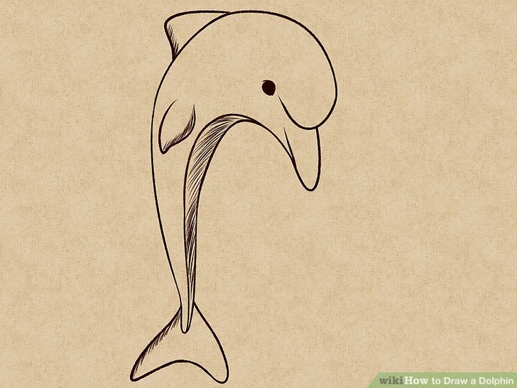 728x546 How To Draw A Dolphin 14 Steps (With Pictures)